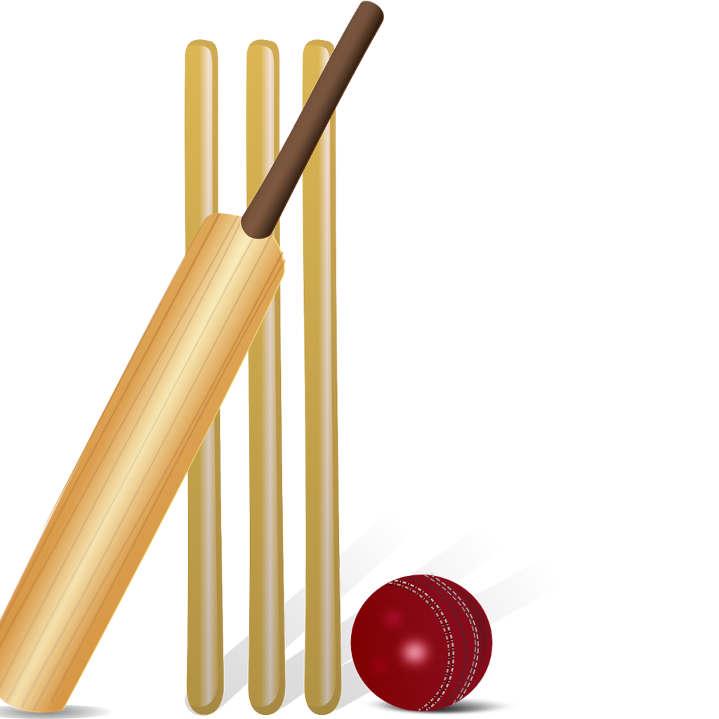 cricket, cricket bat, bat-155965.jpg