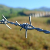 Barbed Wire