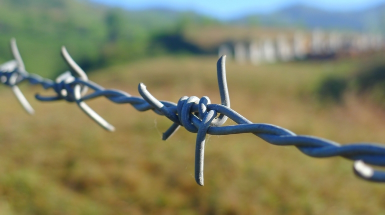 Barbed Wire