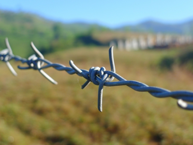 Barbed Wire