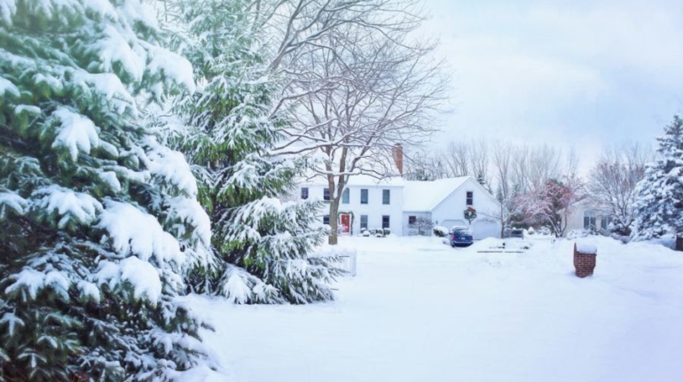 Snowfall forest